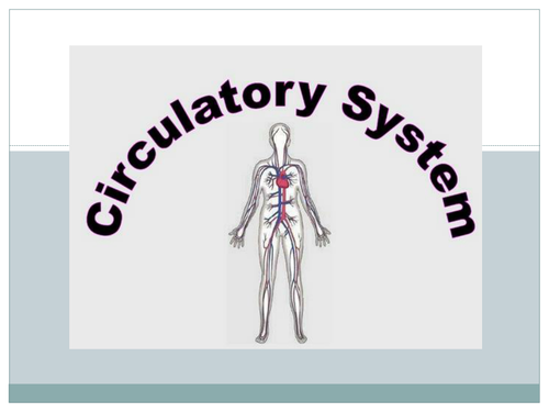 Circulatory system | Teaching Resources