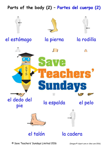 Parts of the Body in Spanish Worksheets, Games, Activities and Flash Cards (with audio) (2)