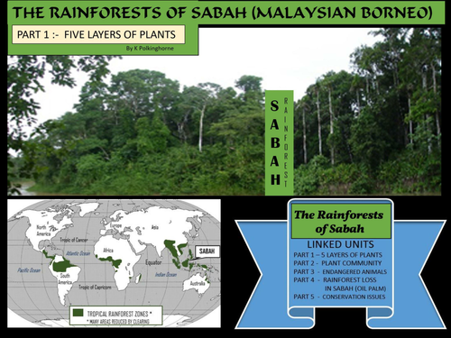 RAINFORESTS OF SABAH - IMPACTS AND CHANGES - PART 1 - 5 LAYERS OF THE RAINFOREST