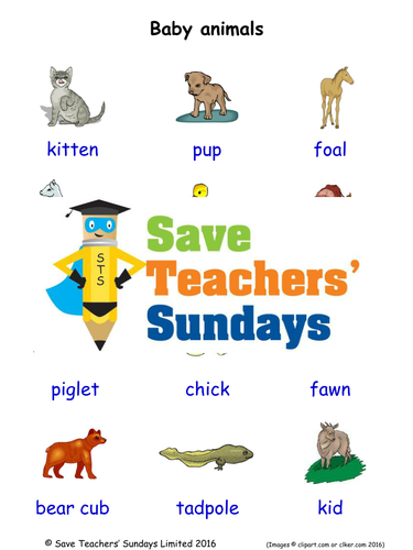 Baby Animals EAL/ESL Worksheets, Games, Activities and Flash Cards (with audio)