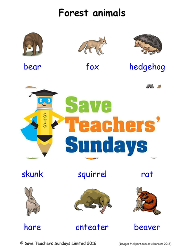 Forest Animals EAL/ESL Worksheets, Games, Activities and Flash Cards (with audio)