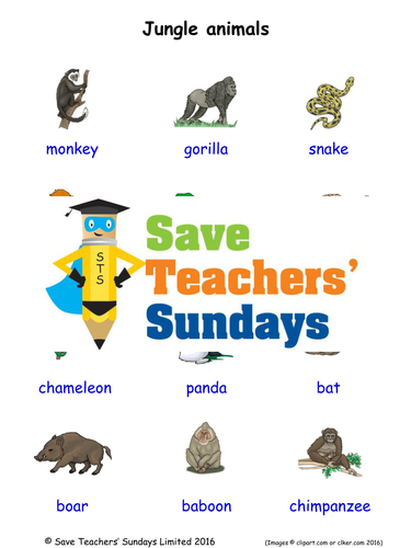Jungle Animals EAL/ESL Worksheets, Games, Activities and Flash Cards (with audio)