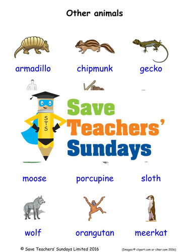 Other Animals EAL/ESL Worksheets, Games, Activities and Flash Cards (with audio)