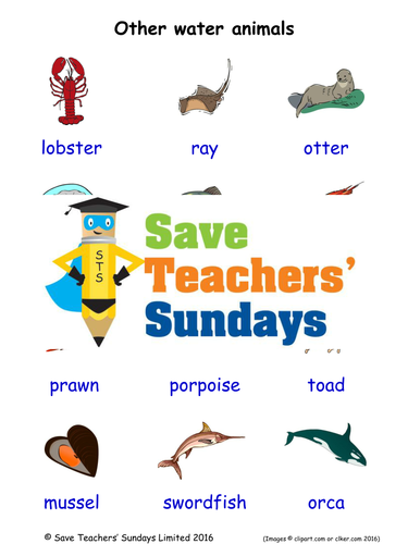 Other Water Animals EAL/ESL Worksheets, Games, Activities and Flash Cards (with audio)