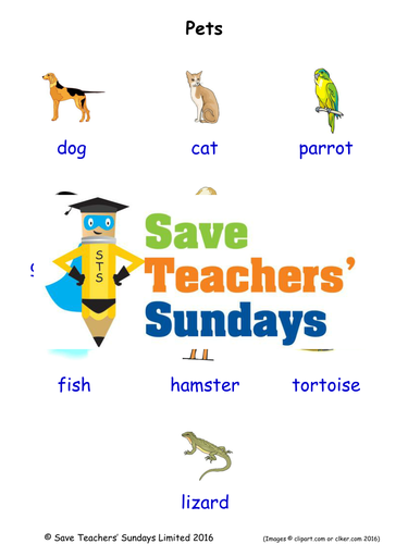 Pets EAL/ESL Worksheets, Games, Activities and Flash Cards (with audio)