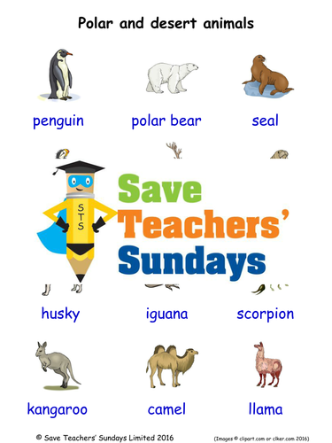 Polar and Desert Animals EAL/ESL Worksheets, Games, Activities and Flash Cards (with audio)