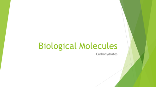 AS Level Biology: Carbohydrates