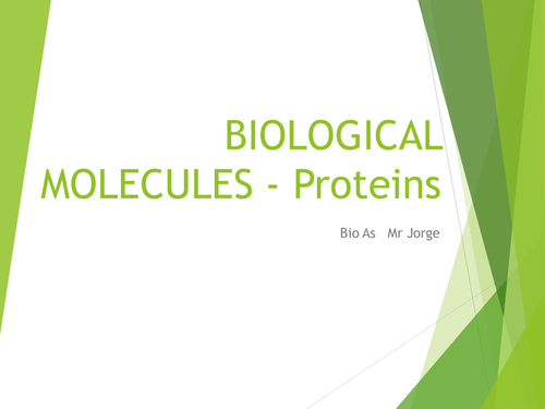 AS Level Biology: Proteins