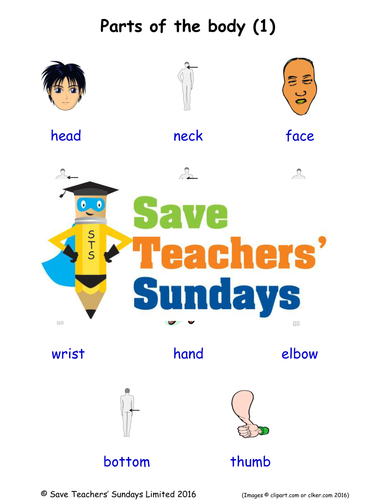 Parts of the Body EAL/ESL Worksheets, Games, Activities and Flash Cards (with audio) (1)