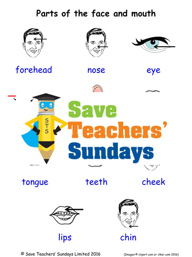 Parts of the Face EAL/ESL Worksheets, Games, Activities and Flash Cards (with audio)