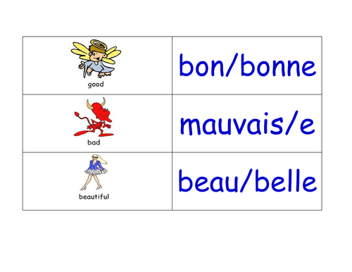 Adjectives in French Flashcards (for 216 French Adjectives)