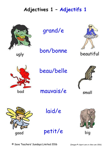 Adjectives in French Activities (36 pages covering 216 French adjectives)