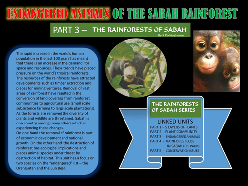 RAINFOREST REALITIES OF SABAH - PART 3 - THE ENDANGERED ORANGUTAN AND SUN BEARS