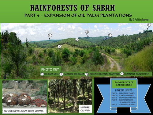 RAINFOREST REALITIES OF SABAH - THE EXPANSION AND IMPACT OF OIL PALM PLANTATIONS