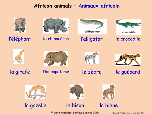 Animals in French Posters (18 French animals posters) | Teaching Resources