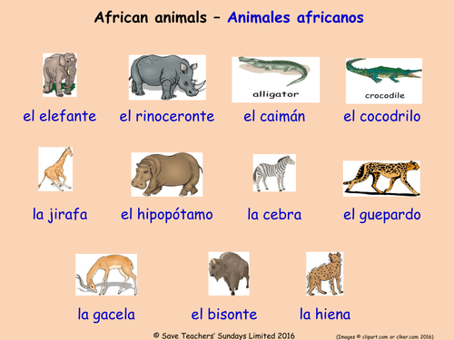 Animals in Spanish Posters (15 Spanish animals posters)