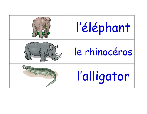 Animals in French Flashcards (160+ French Animals Flash cards)