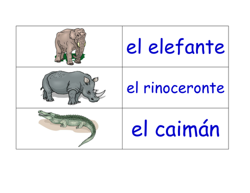 Animals in Spanish Flashcards (160+ Spanish Animals Flash cards)