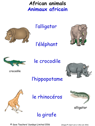animals in french activities 30 pages covering 160 french words for animals teaching resources
