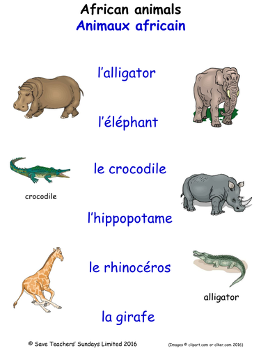 Animals in French Activities (30 pages covering 160+ French words for animals)