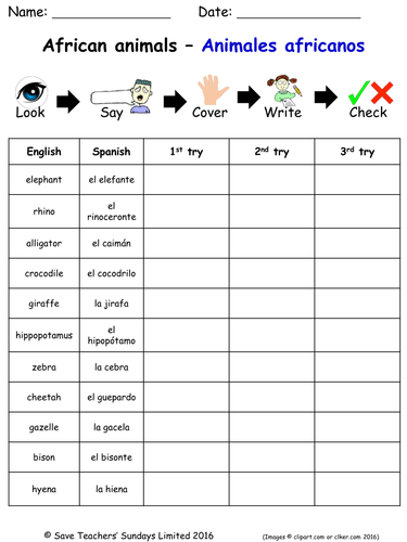 Animals in Spanish Spelling Worksheets (15 worksheets)