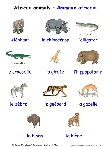 Animals in French Word Searches (15 Wordsearches)