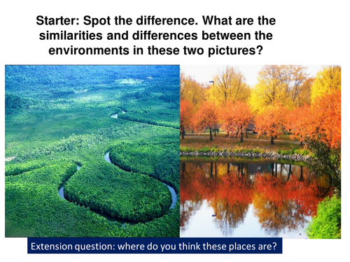 What is an ecosystem?