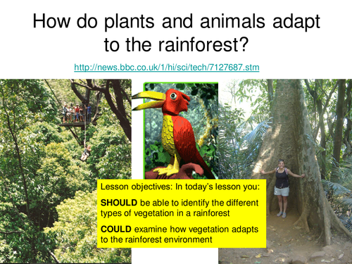 Location and Structure of tropical rainforests