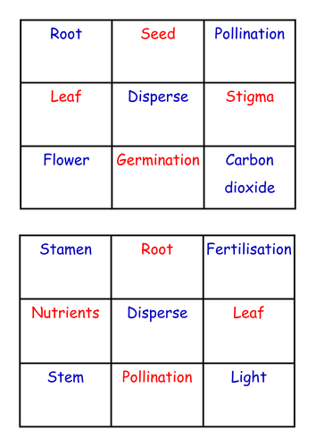 Green Plant word games
