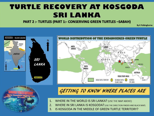 GREEN TURTLE CONSERVATION AT KOSOGA SRI LANKA