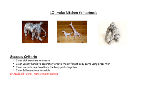 Kitchen Foil Animal Models