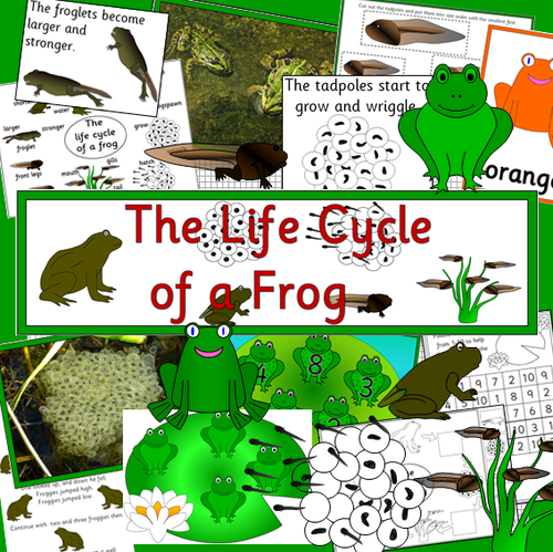 Life Cycle of a Frog- Powerpoints, games, activities, worksheets, sequencing