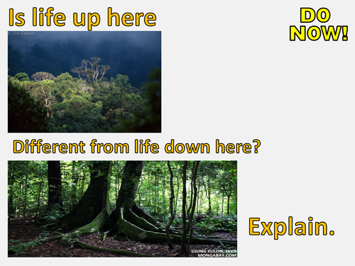 New AQA GCSE The Living World- Tropical Rainforests Lesson #2