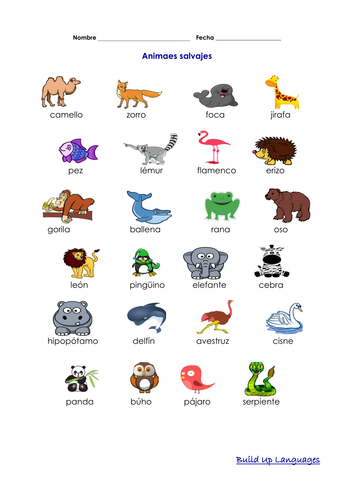 Animales salvajes vocabulario