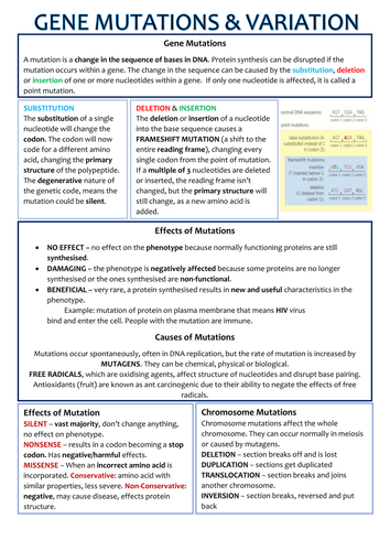 Biology A-Level OCR Revision Notes - Genetics of Living Systems by ...