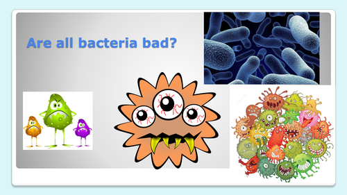 Health & Diet; Bacteria and Digestion (KS3 Activate)