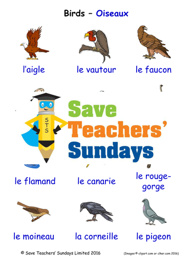 Birds in French Worksheets, Games, Activities and Flash Cards (with ...