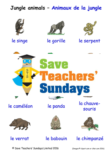 jungle animals in french worksheets games activities and