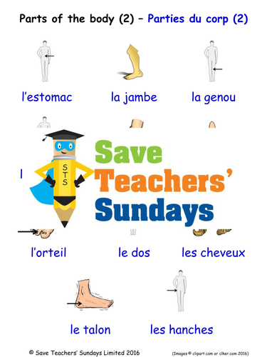 Parts of the Body in French Worksheets, Games, Activities and Flash Cards (with audio) 2