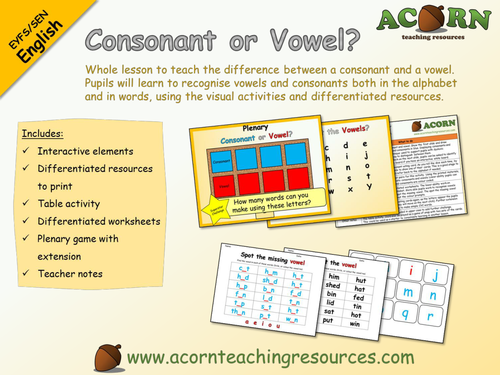 Whole lesson - EYFS/SEN English - Consonant or Vowel?
