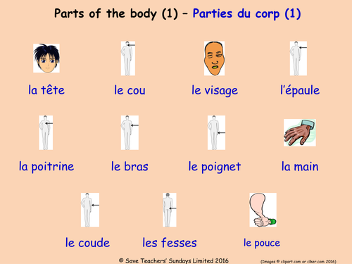 Parts of the Body in French Posters (3 French  posters)
