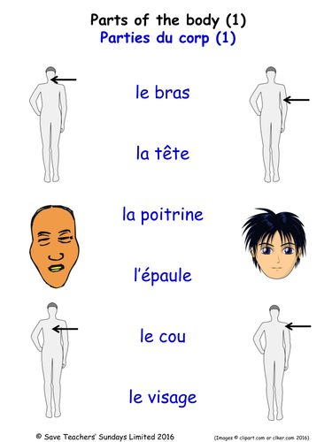 Parts of the Body in French Activities (6 pages covering 33 French Parts of the Body)