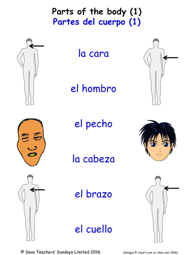 Parts of the Body in Spanish Activities (6 pages covering 33 Spanish Parts of the Body)