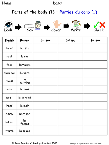 Parts of the Body in French Spelling Worksheets (3 worksheets)