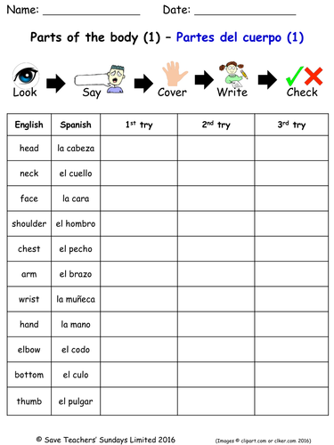 Parts Of The Body In Spanish Spelling Worksheets 3 Worksheets Teaching Resources