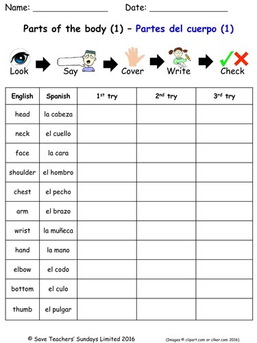 Parts of the Body in Spanish Spelling Worksheets (3 worksheets)
