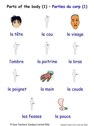 Parts of the Body in French Word Searches (3 Wordsearches)