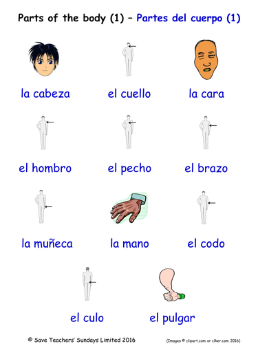 Parts Of The Body In Spanish Word Searches 3 Wordsearches Teaching Resources