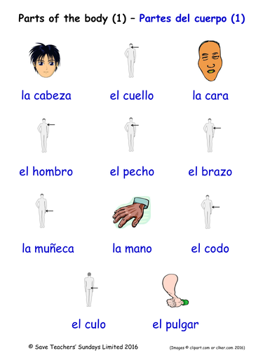 Parts of the Body in Spanish Word Searches (3 Wordsearches)