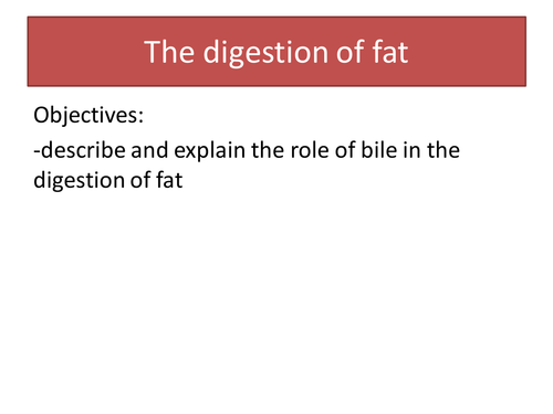 GCSE Biology Digestion of Fat - the action of bile